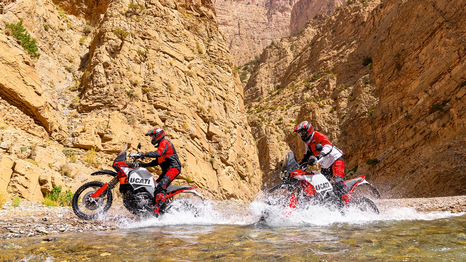 Ducati DesertX Rally: Off-Road Adventure Unleashed
