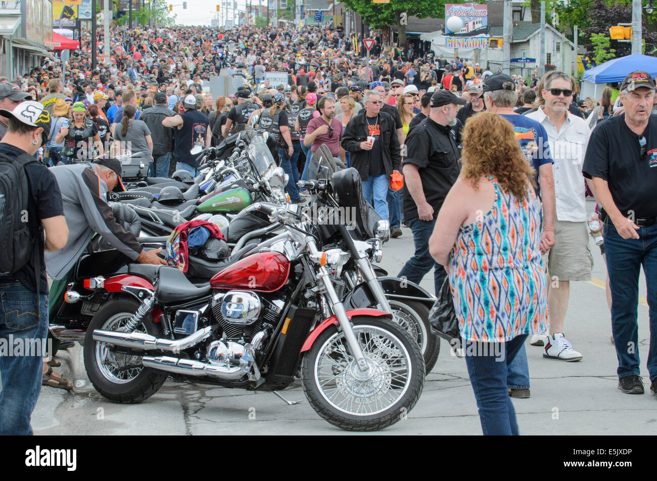 Festive end-of-ride destination with crowds, vendors, and bikes parked