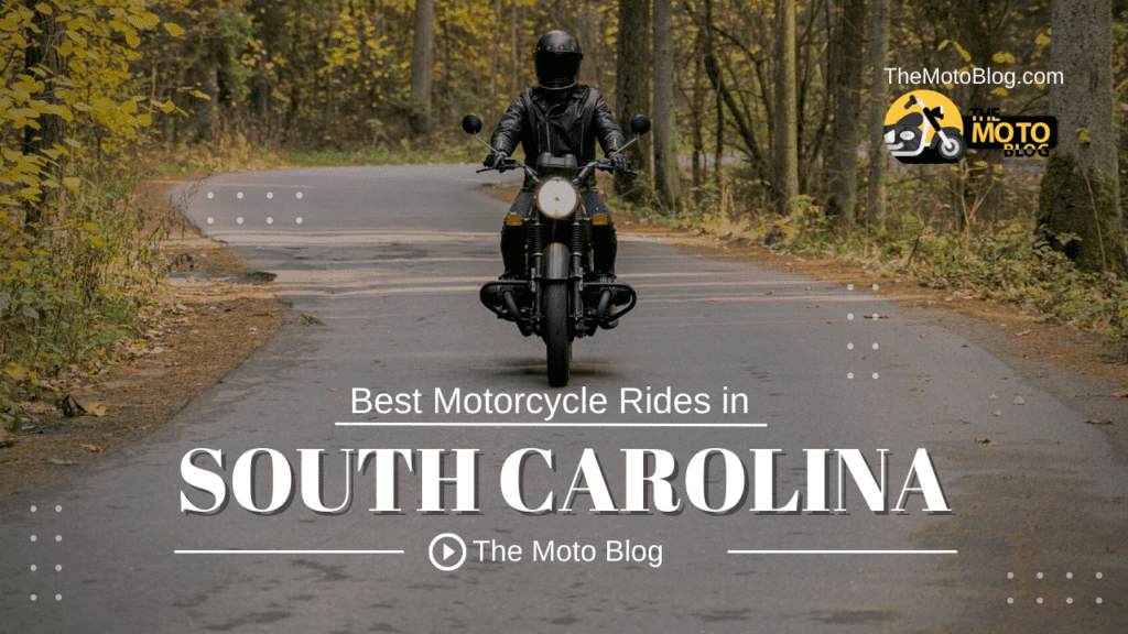 Scenic Lowcountry road with motorcycles riding under Spanish moss-draped live oaks