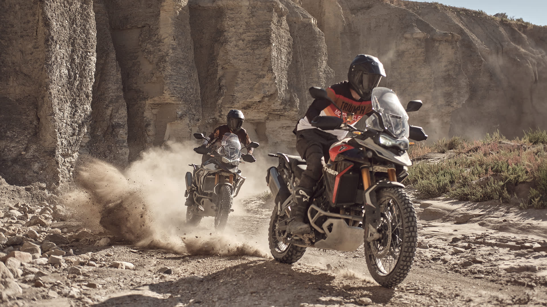 Triumph Tiger 900 Rally Pro action shot