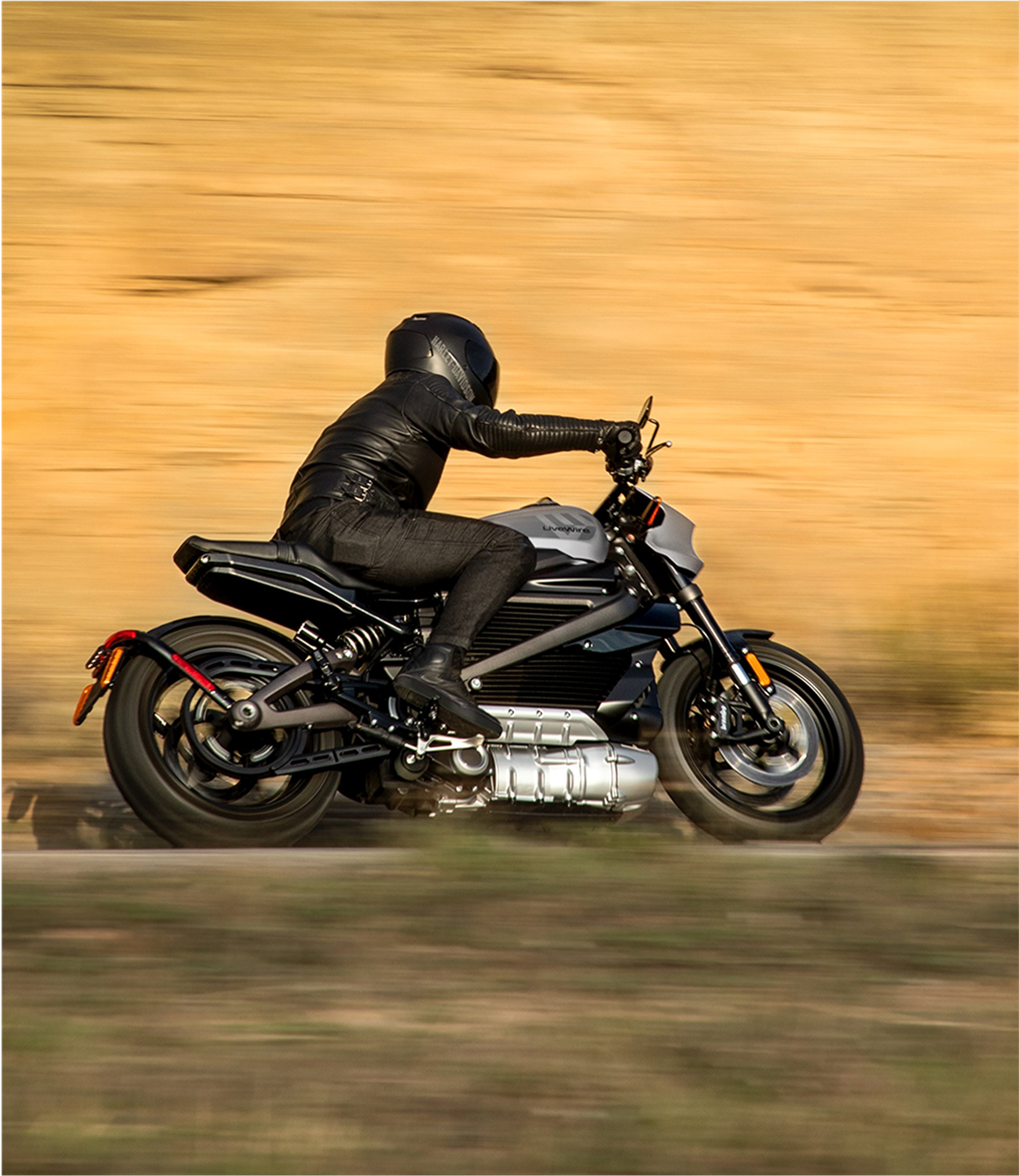 Image supporting the LiveWire electric section