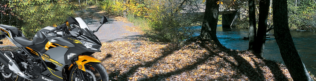 Scenic shot of motorcycles on a wooded road near the St. Croix River