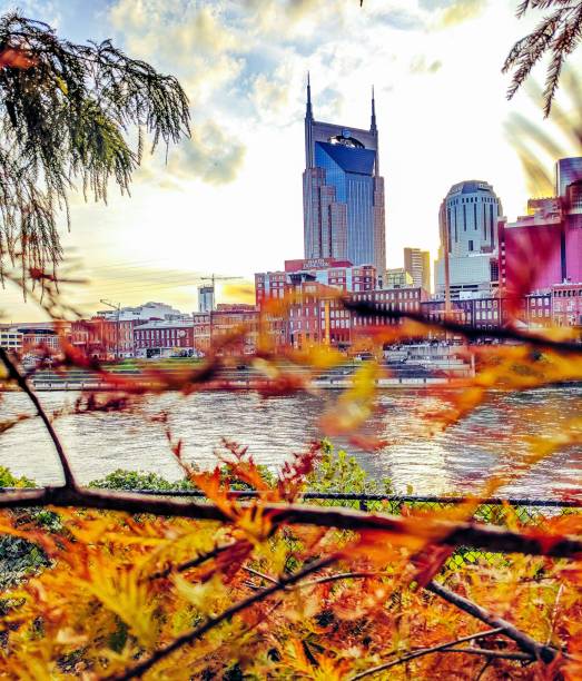 Nashville backdrop image to establish local setting