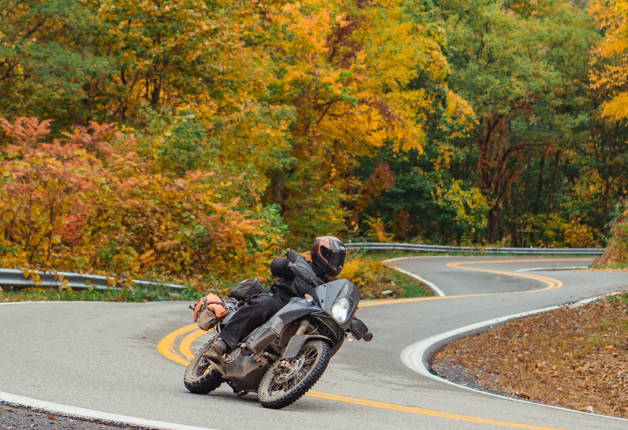 Scenic Louisiana riding route through bayou or wetlands landscape in fall