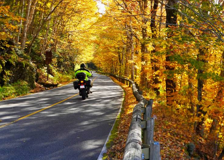Hero image showing a group of motorcycles on a scenic two-lane road with autumn foliage