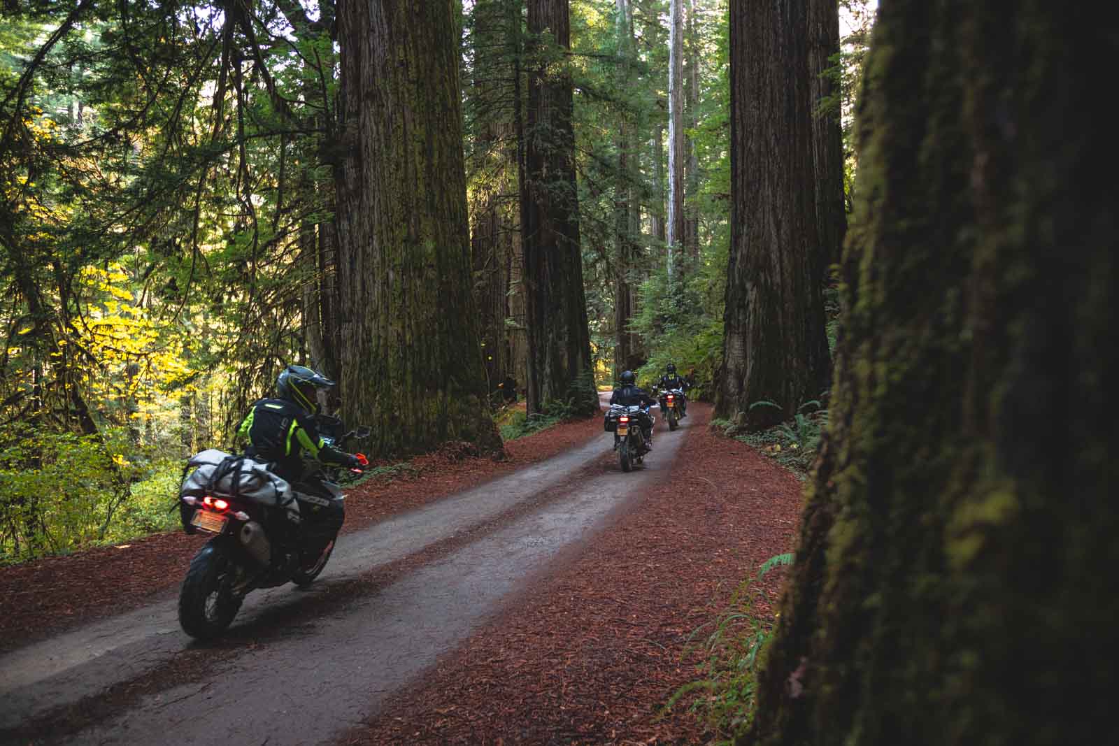 Illustrating the Columbia River Gorge Loop route section