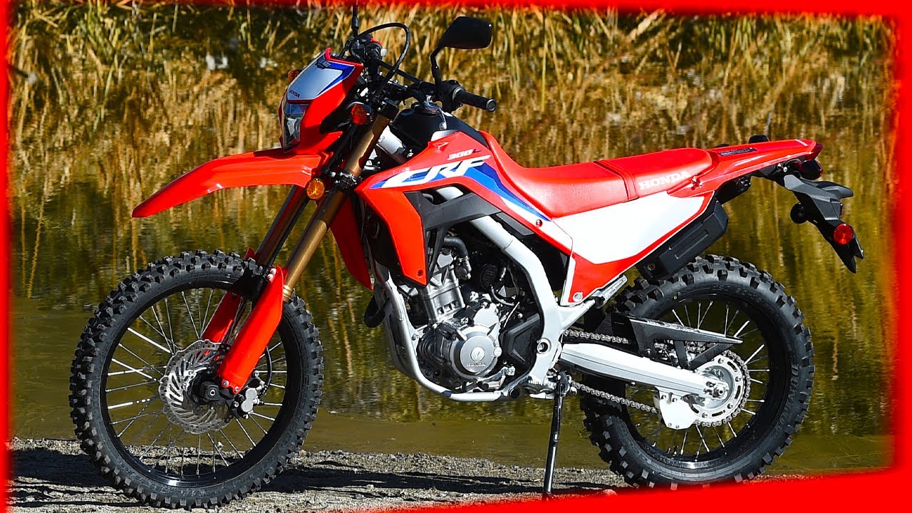 Entry-level dual sport on trail