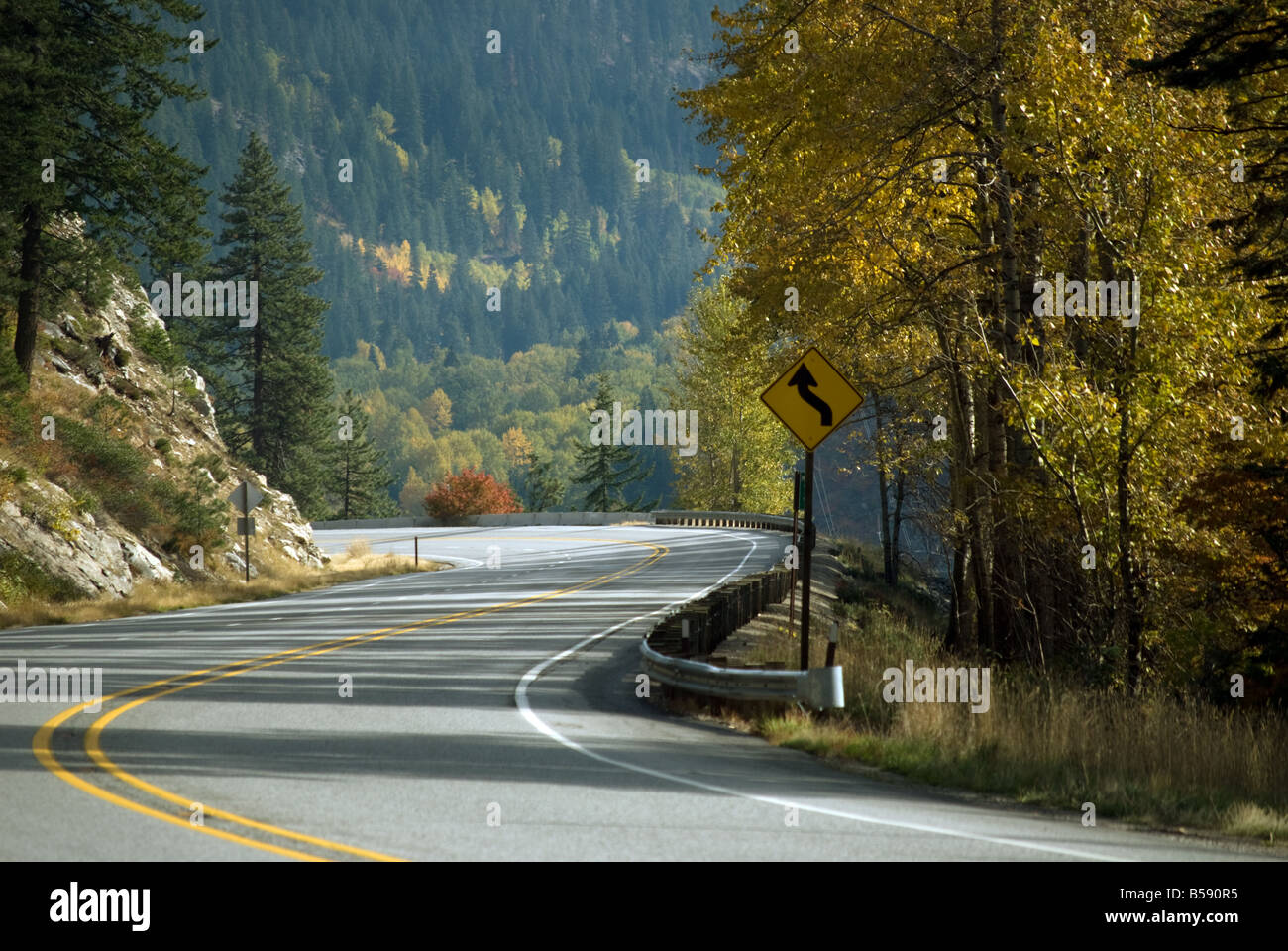 Seattle, WA Group Ride Season 2026: Best Curated Fall Routes, Club Meetups, and Upcoming Fundraiser Runs Organized by Puget Sound Chapters