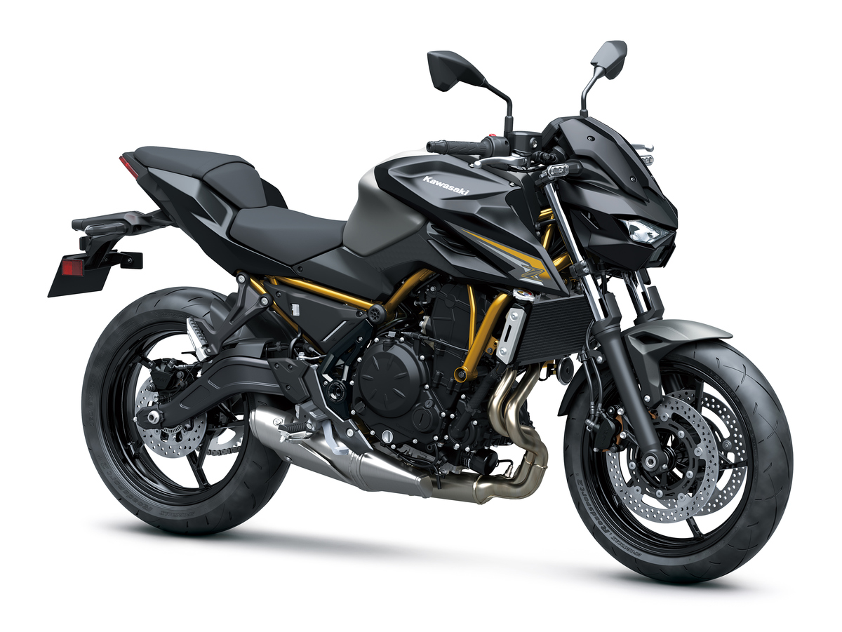 Action or studio shot of the Kawasaki Z650