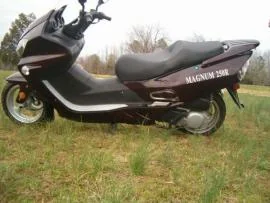Tank Sports Urban Touring 250